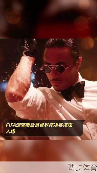 FIFA调查撒盐哥违规进入赛场